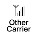 Other Carriers